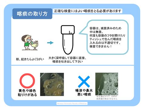 痰培養 採取方法 吸引 看護|喀痰培養検査の取り方について教えてほしい｜レバウェル看